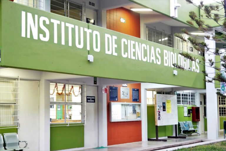 42226 universidad de ciencias y artes de chiapas 768x511