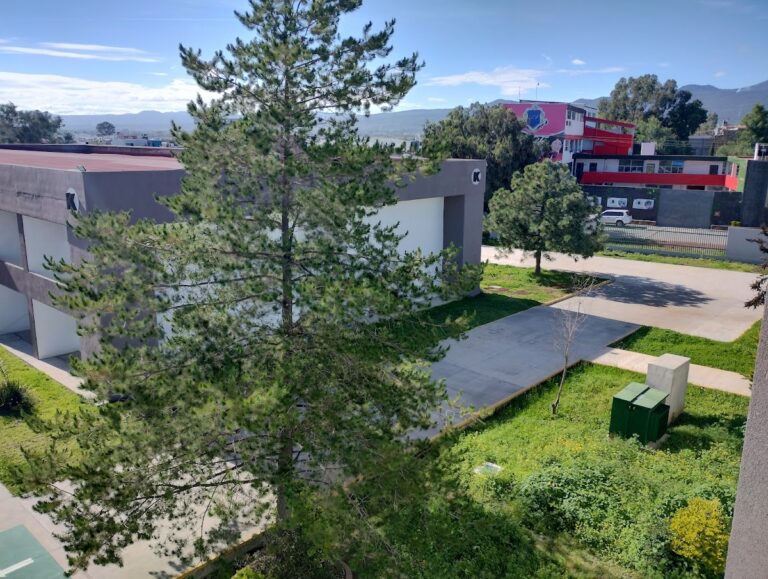 42368 universidad tecnologica de tulancingo 768x579