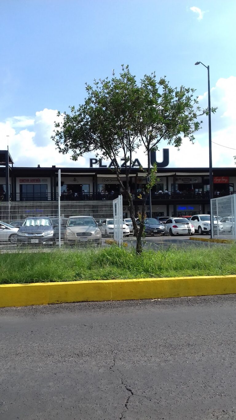 42406 avenida universidad 768x1365