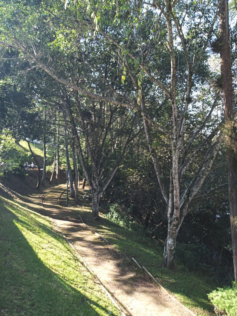 42418 universidad veracruzana 768x1024