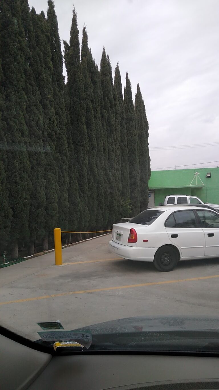 42564 guarderia del imss 768x1365