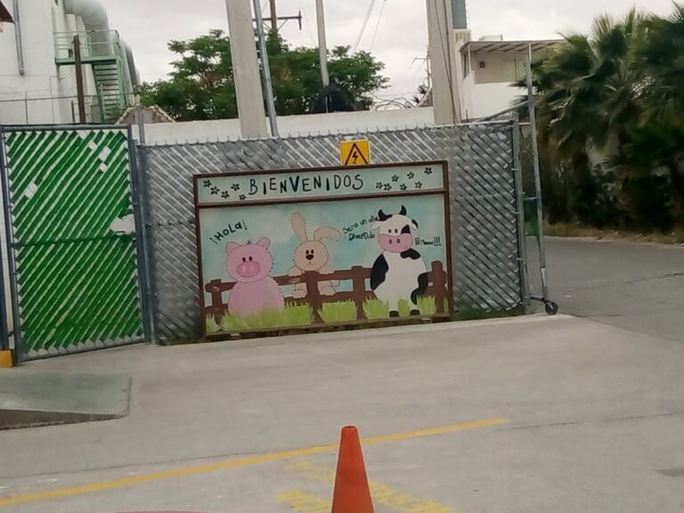 42566 guarderia towwi 768x576