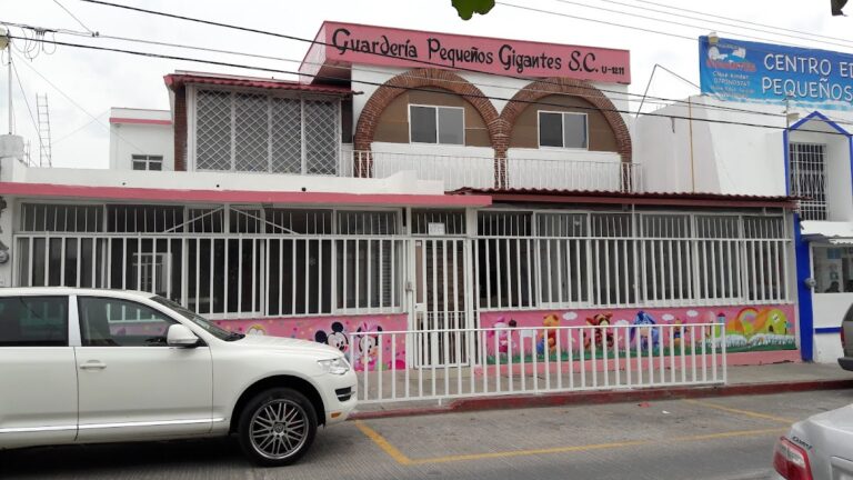 42568 centro educativo pequenos gigantes 768x432