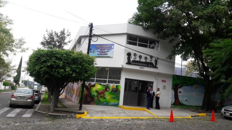 42783 guarderia viva 768x432