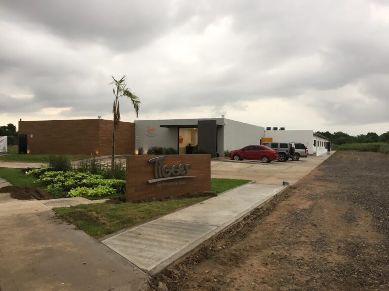 42798 guarderia de tigger 768x576