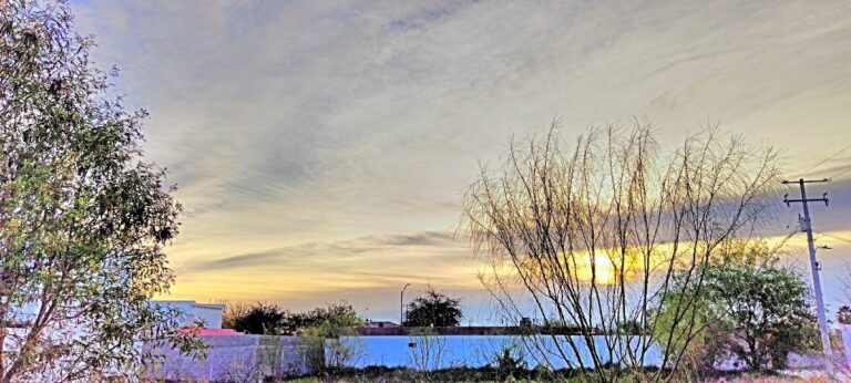 42927 kiddi care 768x346