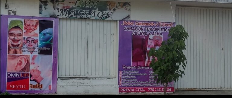 4302 lyn massage sanacion terapeutica cuerpo y alma 768x325