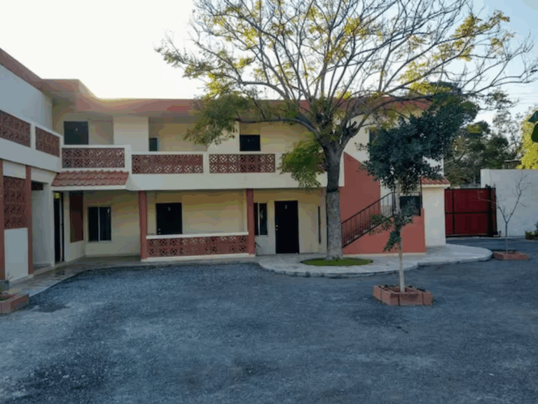 43754 armandas 768x576