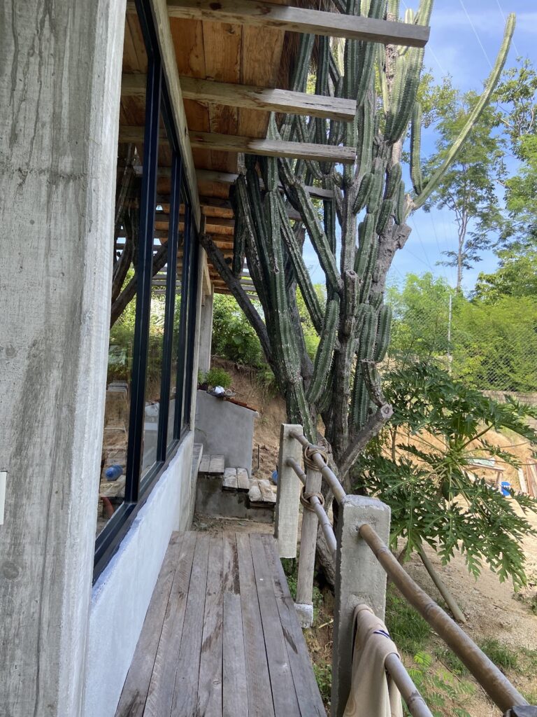 43770 casa ixtlan 768x1024