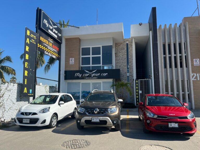 44051 my car your car manzanillo 768x576