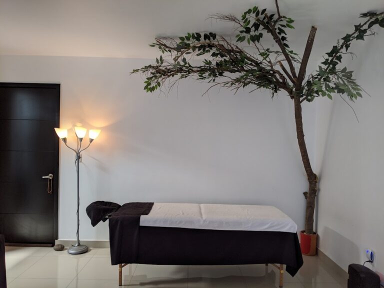 4408 jardin zen spa 768x576