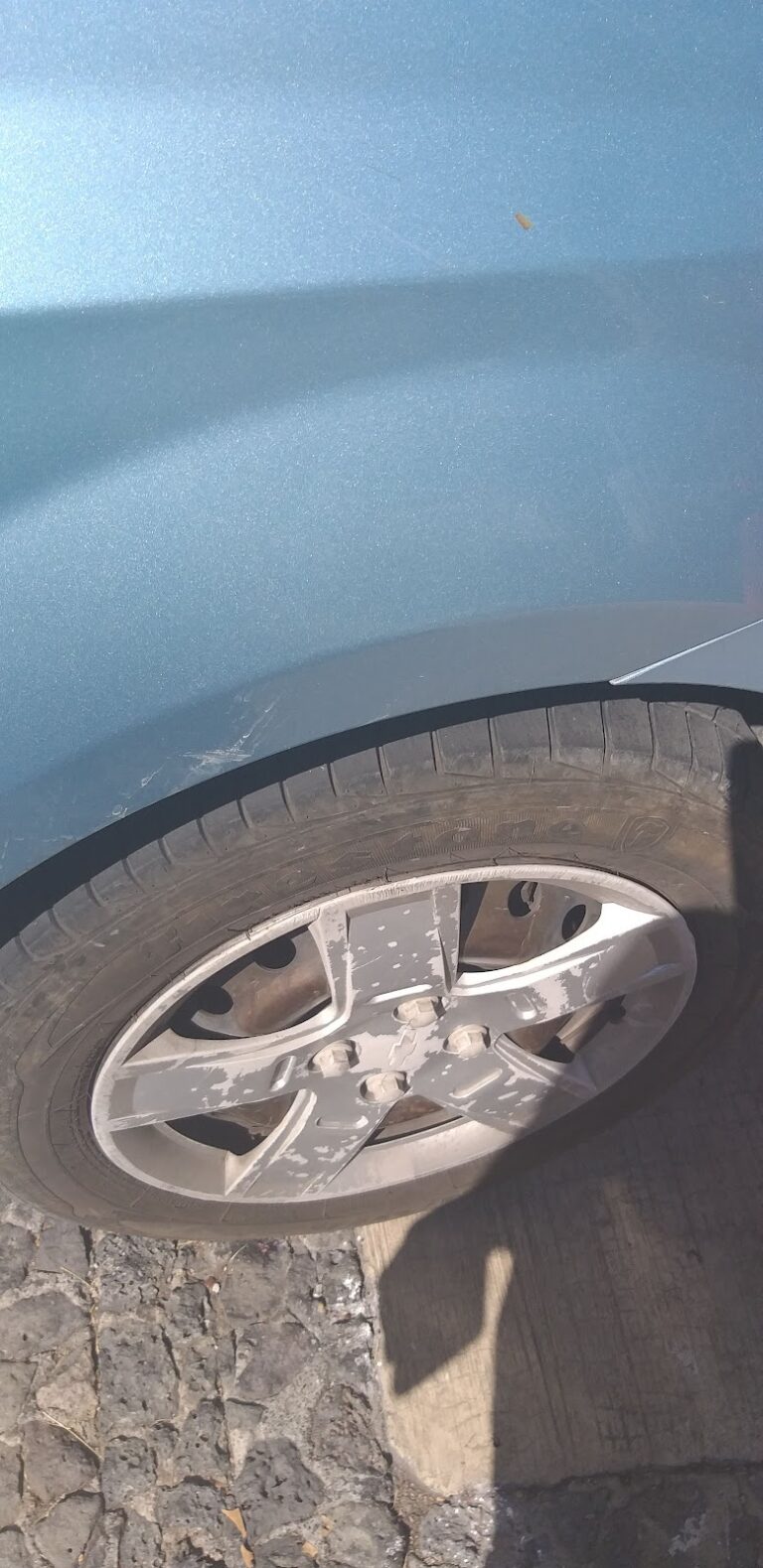 44193 deguer renta car 768x1579