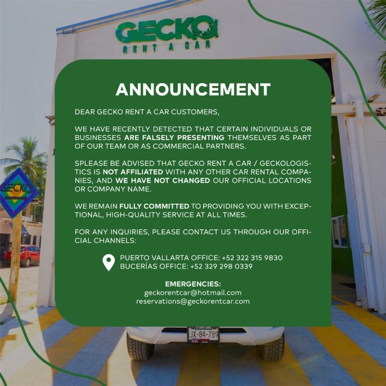 44199 gecko rent a car bucerias 768x768