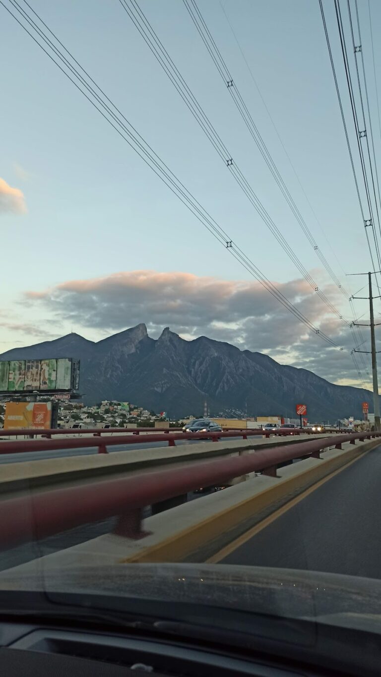 44214 aluux renta de autos. exclusivo para empresas monterrey 768x1365