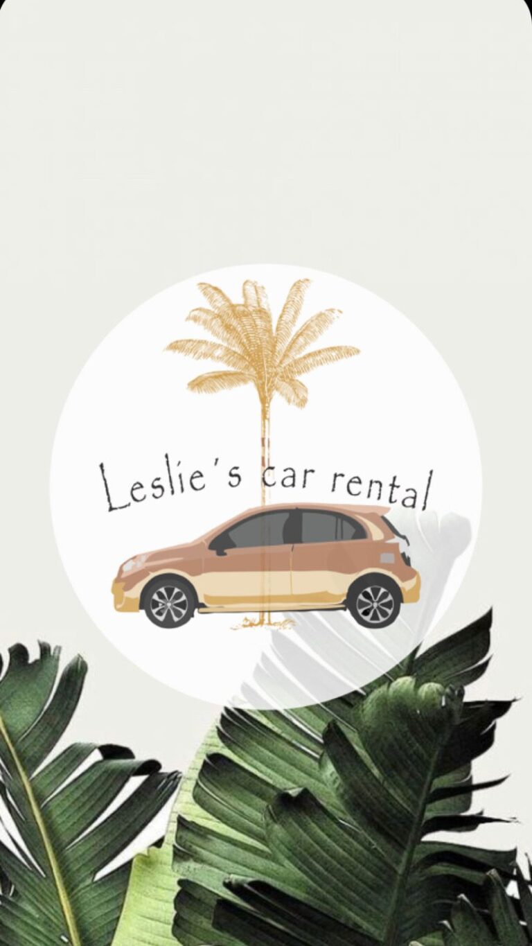 44220 leslies car rental 768x1365