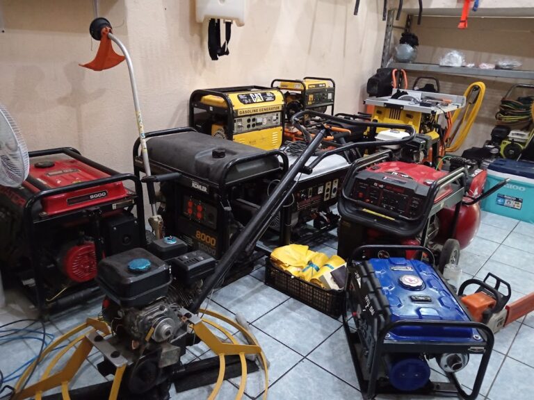 44443 rentame carmen 768x576