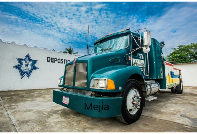 44513 gruas tecoman 768x523