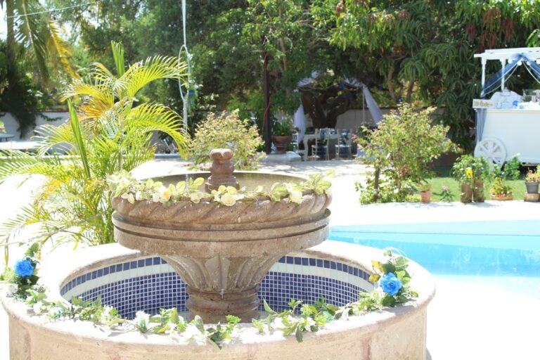 44910 la fuente jardin de fiestas 768x512