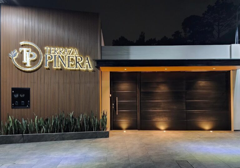 45130 terraza pinera 768x538