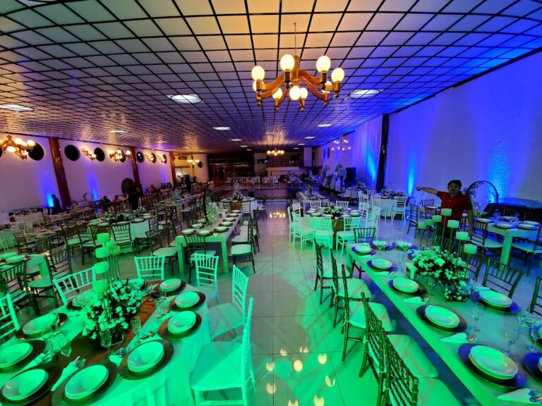 45198 salon vikingos 768x576