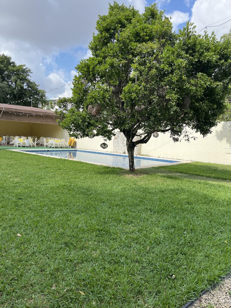 45257 hamptons cancun 8211 jardin de eventos 768x1024