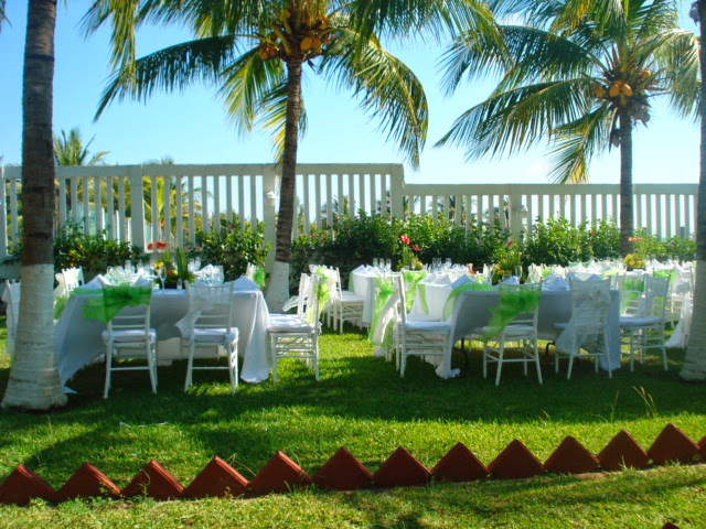 45437 banquetes lemon