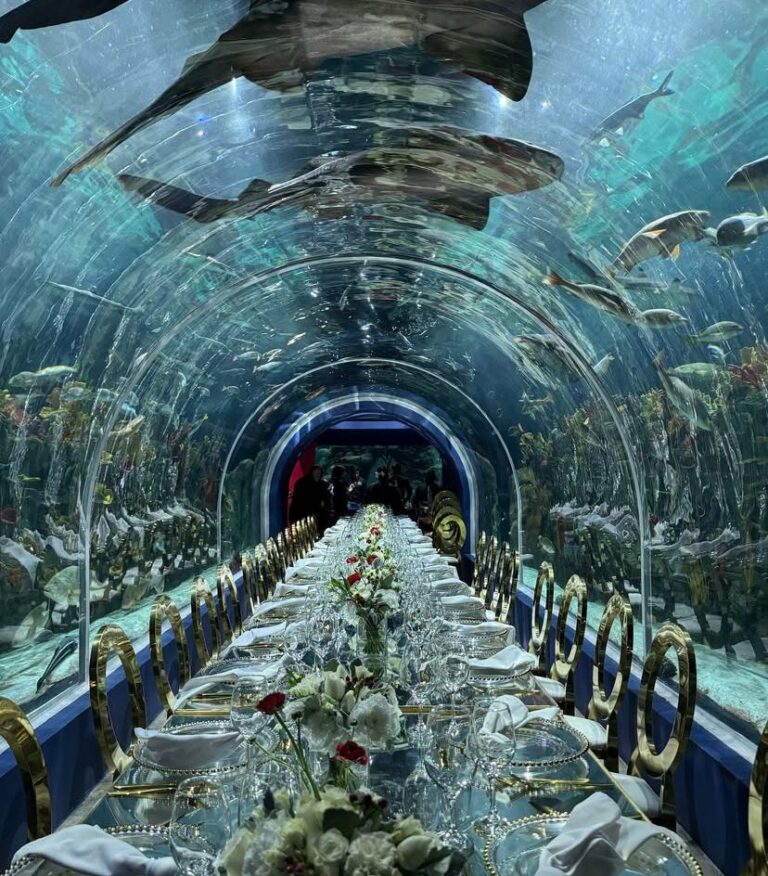 45465 banquetes palaceta 768x876