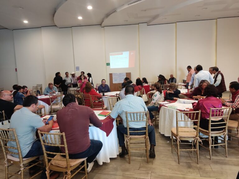 45547 finestra banqueteria 768x576