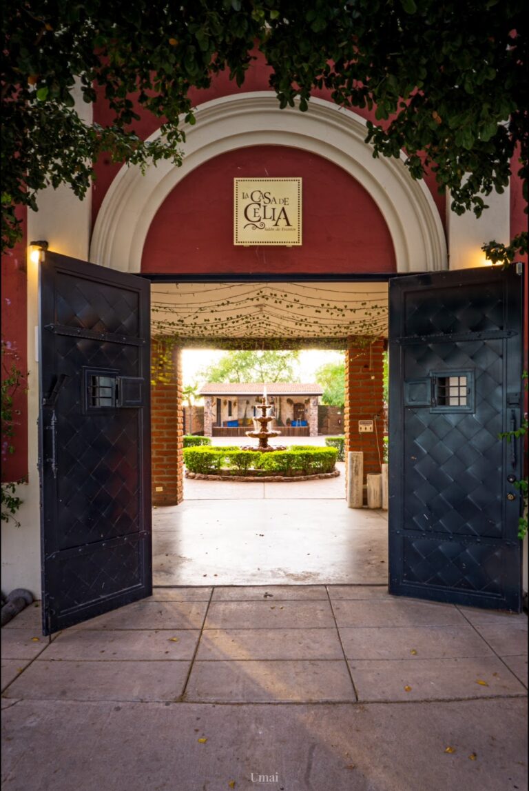 45756 salon de eventos la casa de celia jardin 768x1147