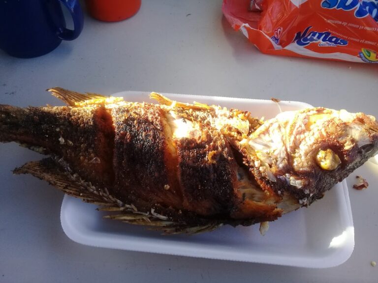 466 servicios integrales la paz 768x576