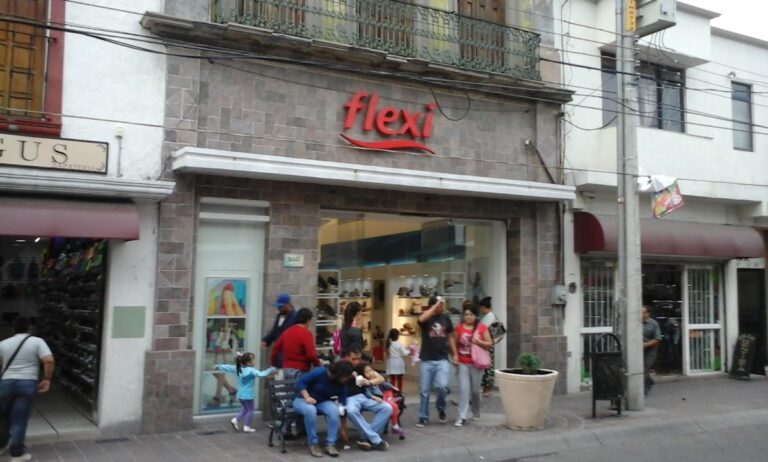 46989 flexi salamanca centro 768x462