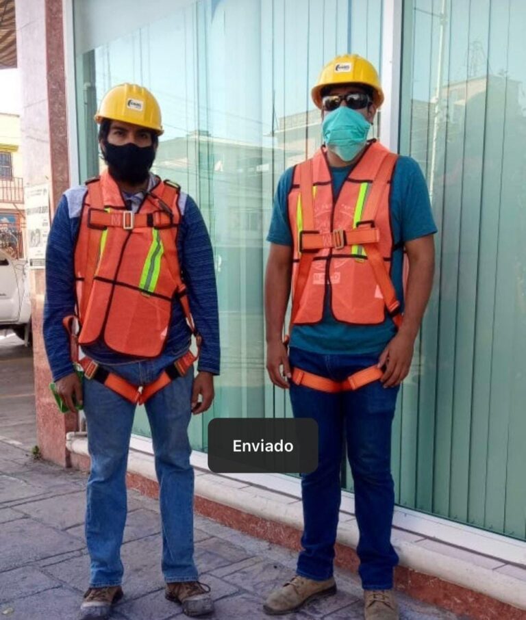 471 servicios grupo baja 768x906