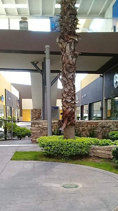 47129 altea centro zapatero