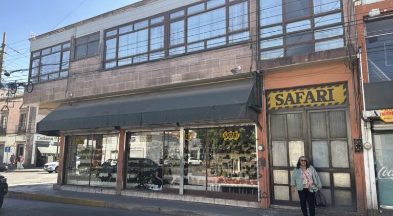 47198 zapateria safari 768x422