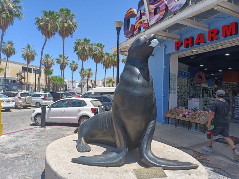 47380 plaza puerto paraiso 768x576