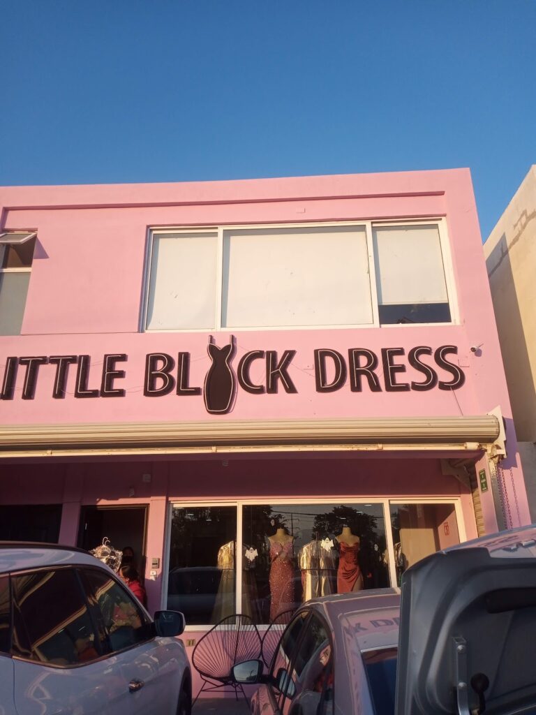 47629 little black dress 8211 apodaca 768x1024