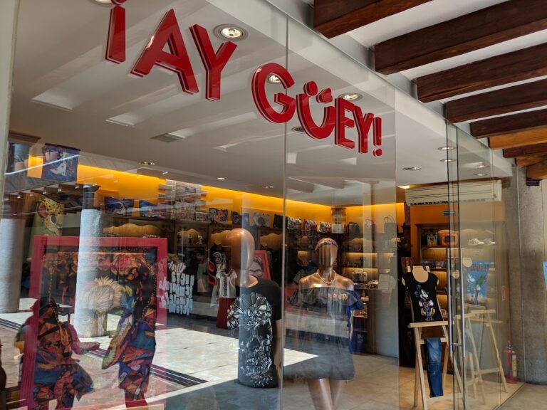 47634 ¡ay guey oaxaca 768x576