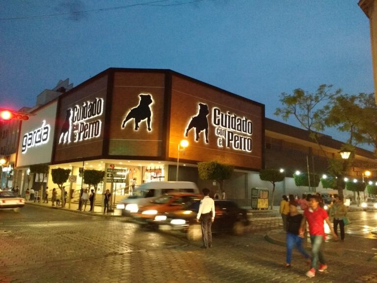 47645 cuidado con el perro 768x576