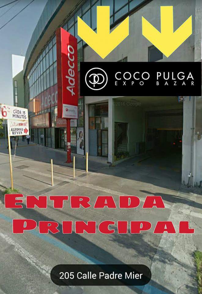 47667 coco pulga