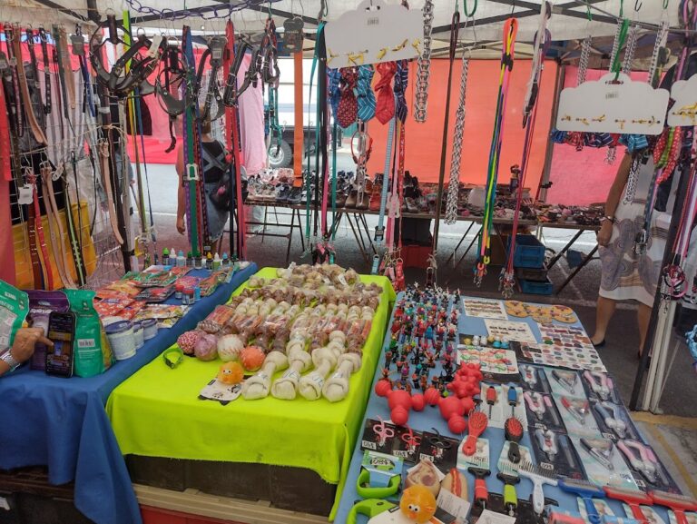 47671 tianguis de ropa loma bella 768x577