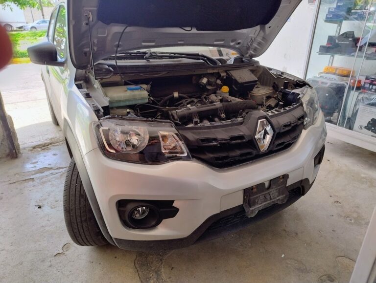 47882 accesorios campeche 768x579