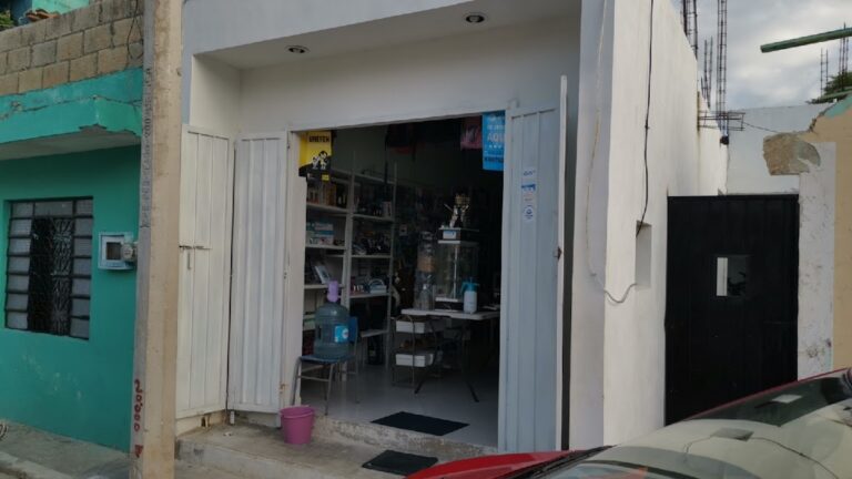 47892 surtido campeche 768x432