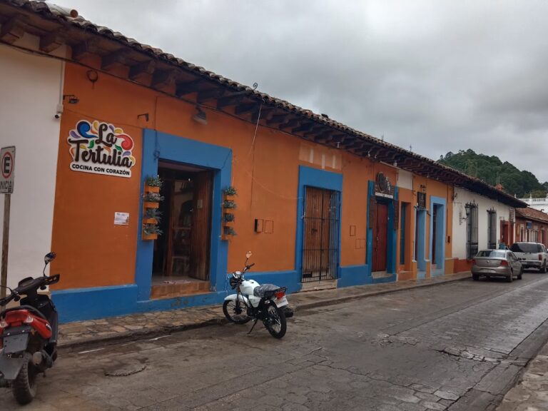 47898 michelle accesorios 768x576