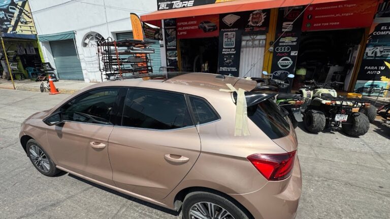 48151 accesorios el tigre 768x432