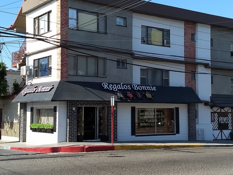 48338 regalos bonnie 768x576