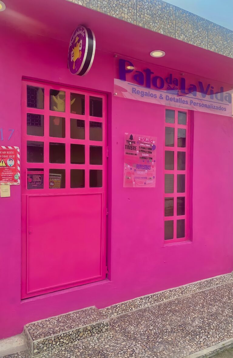 48383 patodalavida regalos y detalles 768x1180