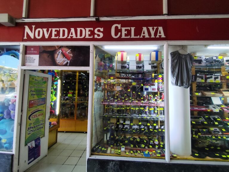 48542 novedades celaya 768x577