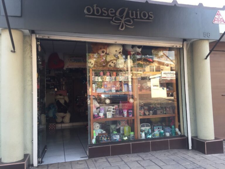 48582 obsequio 768x576