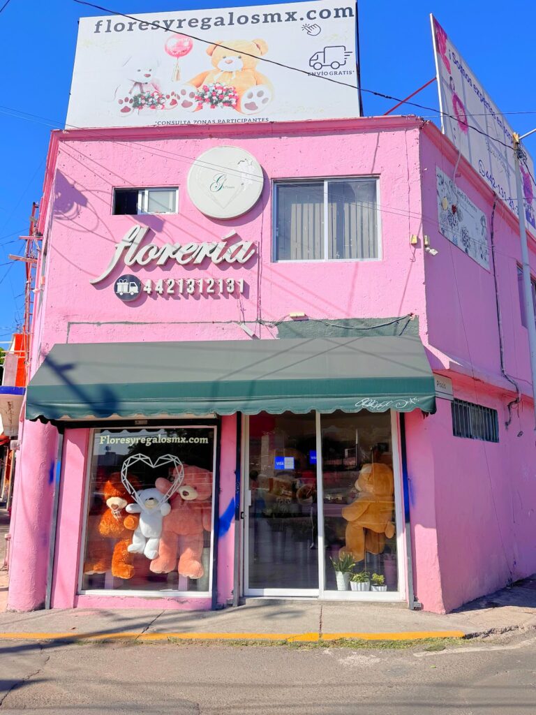 48666 flores y regalos mx 768x1024