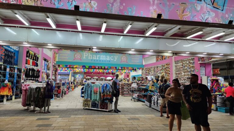 48696 zum zum paseo del carmen 768x433